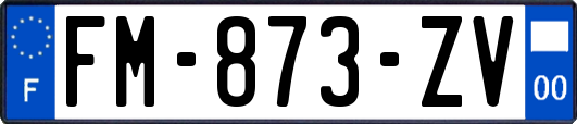 FM-873-ZV