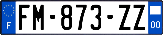 FM-873-ZZ