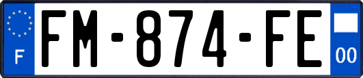 FM-874-FE