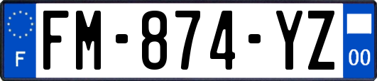 FM-874-YZ