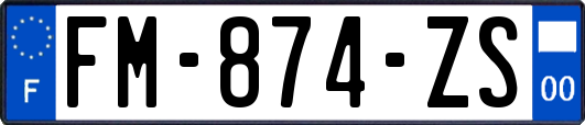 FM-874-ZS