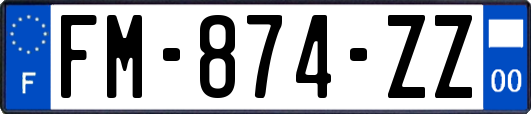 FM-874-ZZ