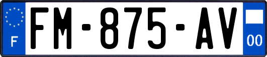 FM-875-AV