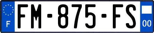 FM-875-FS