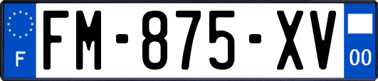 FM-875-XV