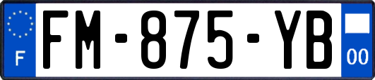 FM-875-YB