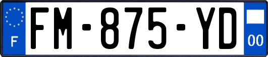 FM-875-YD