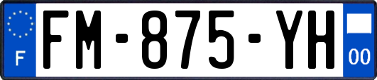 FM-875-YH