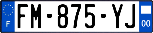 FM-875-YJ