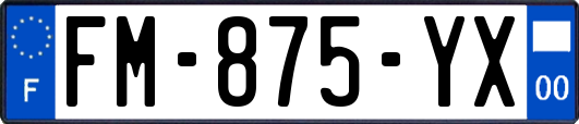 FM-875-YX