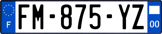 FM-875-YZ