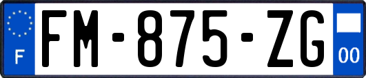 FM-875-ZG