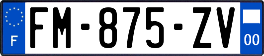 FM-875-ZV