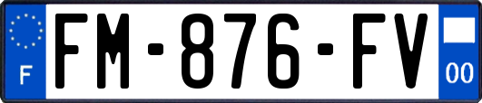 FM-876-FV