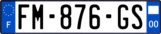 FM-876-GS