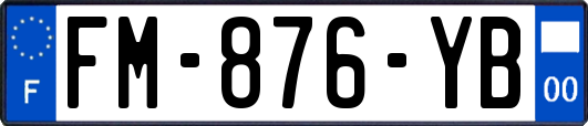 FM-876-YB