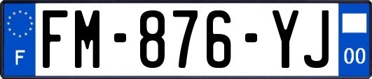 FM-876-YJ