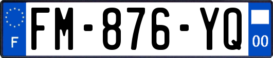 FM-876-YQ