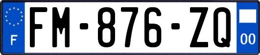 FM-876-ZQ