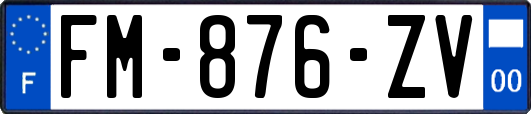 FM-876-ZV