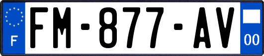 FM-877-AV