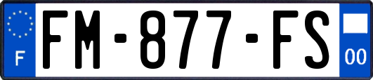 FM-877-FS