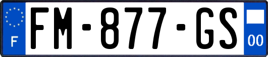FM-877-GS