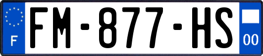 FM-877-HS
