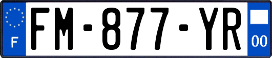 FM-877-YR
