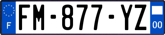 FM-877-YZ