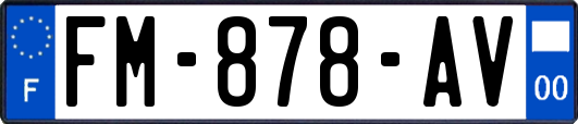 FM-878-AV