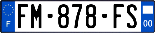 FM-878-FS