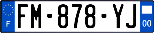 FM-878-YJ