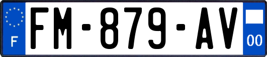 FM-879-AV