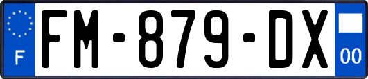 FM-879-DX