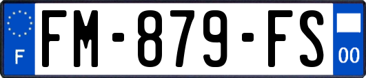 FM-879-FS