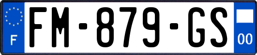 FM-879-GS