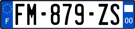 FM-879-ZS