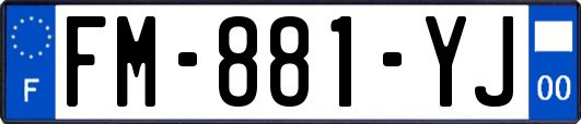 FM-881-YJ