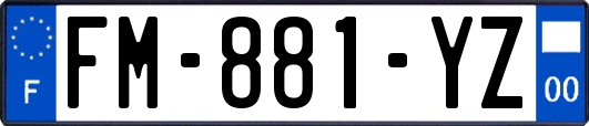 FM-881-YZ