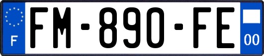 FM-890-FE