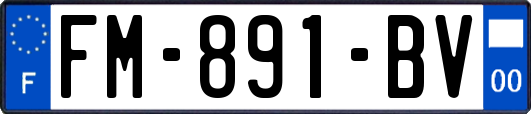 FM-891-BV