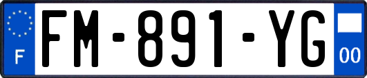 FM-891-YG