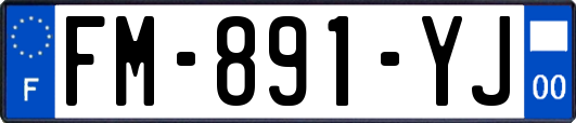 FM-891-YJ