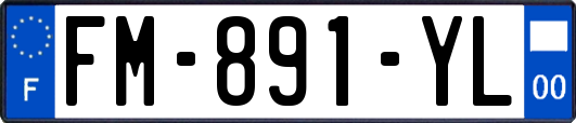 FM-891-YL