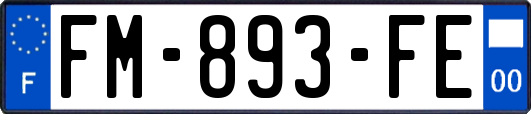 FM-893-FE