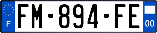 FM-894-FE