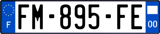 FM-895-FE