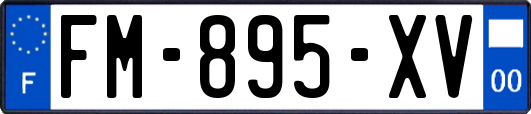 FM-895-XV