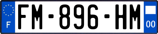 FM-896-HM